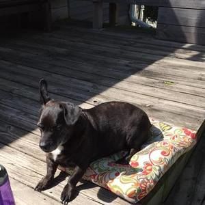 Meet your Posher, Carol